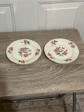 Homer Laughlin Apple Blossom Liberty Bread & Butter Plate Set of 2